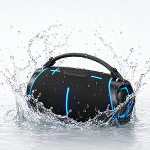 Top-ranking 80W Subwoofer Speaker