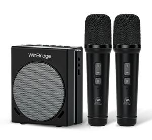 Portable PA System Speaker 30W with Microphones