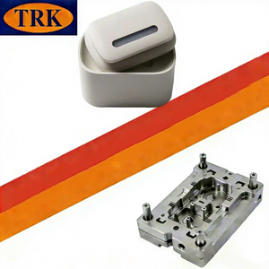 Precision Plastic Injection Mold TWS Case